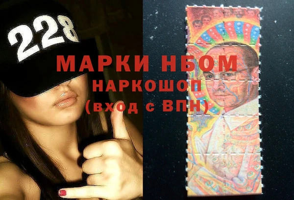 ГАЛЛЮЦИНОГЕННЫЕ ГРИБЫ Баксан