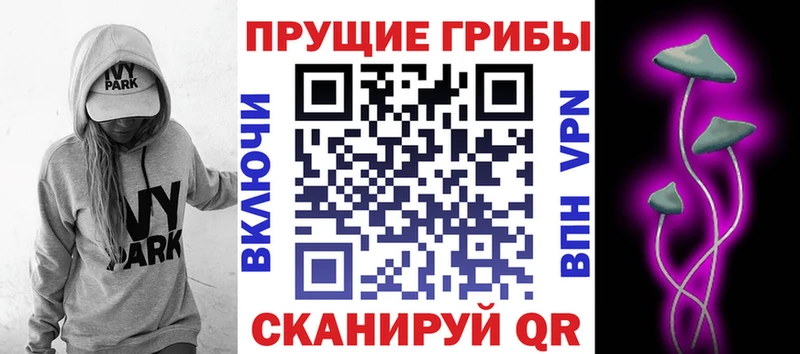 нарко площадка Telegram Нарьян-Мар Псилоцибиновые грибы Cubensis